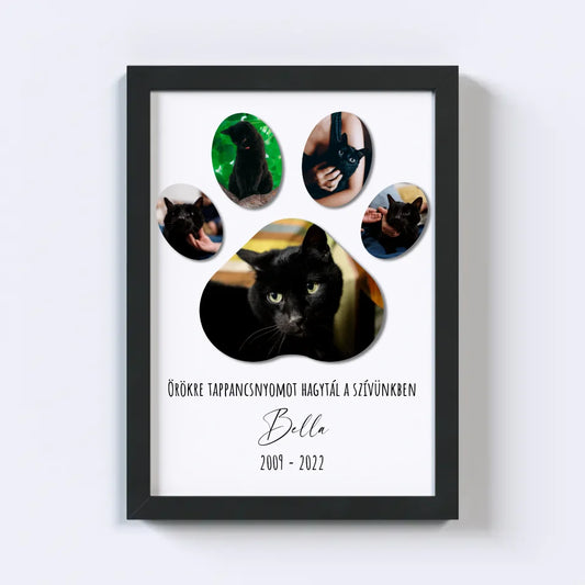 Tappancs Kisállat Fotókollázs