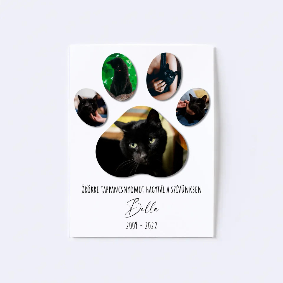 Tappancs Kisállat Fotókollázs